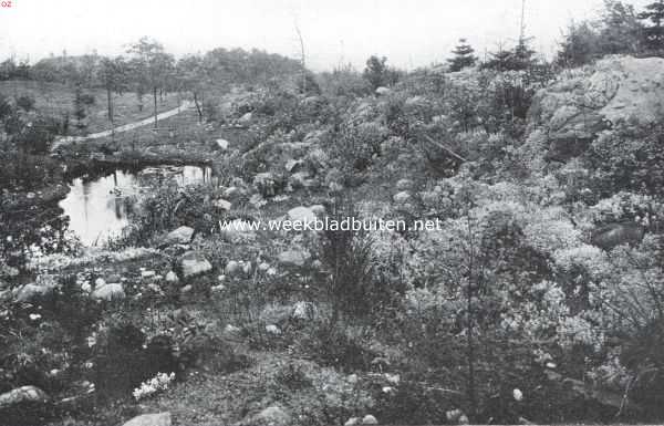 Onbekend, 1925, Onbekend, Een rotstuin. Begroeide rots