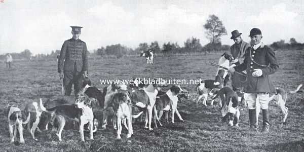 Nederland, 1925, Onbekend, De Koninkl. Nederlandsche Jachtvereeniging en het jachtrijden achter de honden. De honden na de jacht. Van links naar rechts: jhr. De Blocq van Scheltinga (whip), de heer Winter (dierenarts der K.N.J.V.) en de kennelhuntsman Champion