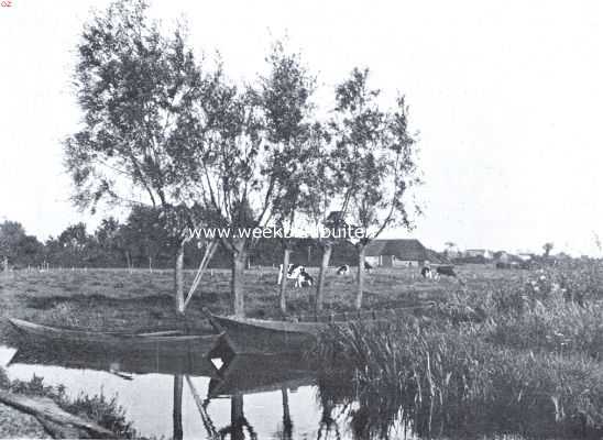 Overijssel, 1925, Onbekend, Naar de Overijselsche meren. Weide aan de Belterwijde