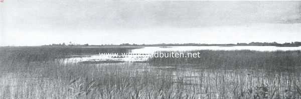 Overijssel, 1925, Onbekend, Naar de Overijselsche meren. Aan de Bovenwijde. In de verte een punter op weg naar Giethoorn