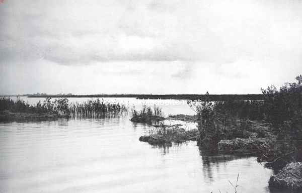 Overijssel, 1925, Onbekend, Naar de Overijselsche meren. Een mooi hoekje aan de Beulakerwijde bij den weg naar Giethoorn