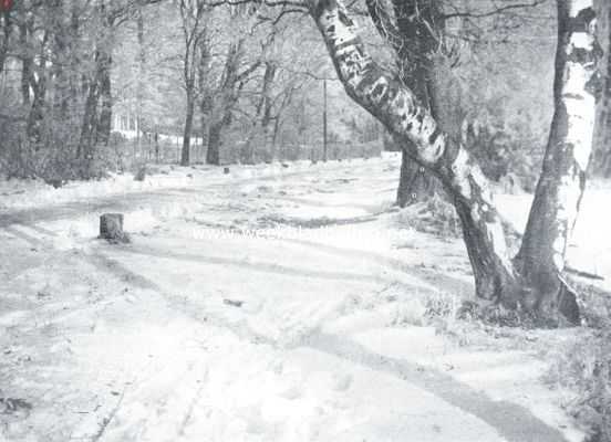 Gelderland, 1925, Arnhem, Een herinnering aan een der weinige wintersche dagen van de laatste maanden. Sneeuwgezicht aan den Heijenoordsche Weg te Arnhem