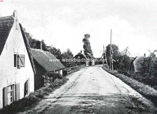 Noord-Brabant, 1925, Onbekend, De Afgedamde Maas. Een schilderachtig gedeelte van den Maasdijk