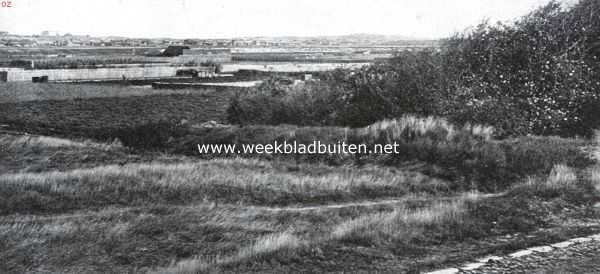 Zuid-Holland, 1925, Loosduinen, Ockenburgh. Gezicht van het landgoed Ockenburgh op Kijkduin