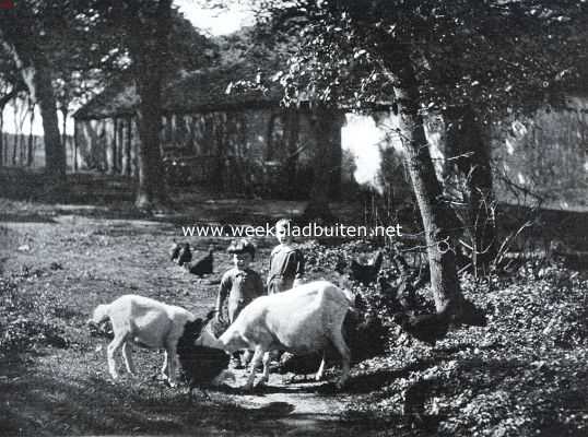 Ockenburgh. Bij de boerderij op het landgoed Ockenburgh