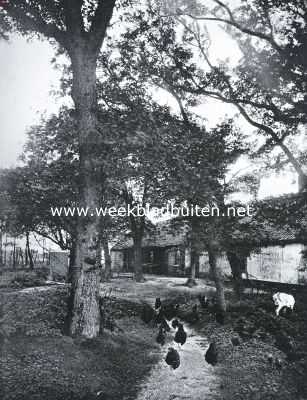 Zuid-Holland, 1925, Loosduinen, Bij de boerderij op het landgoed Ockenburgh