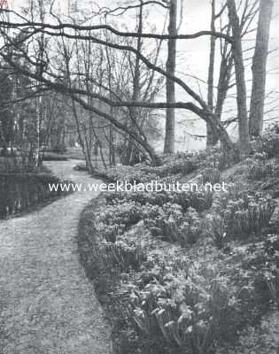 Noord-Holland, 1925, Heemstede, De Voorjaarsbloemententoonstelling te Heemstede. Het Narcissendal