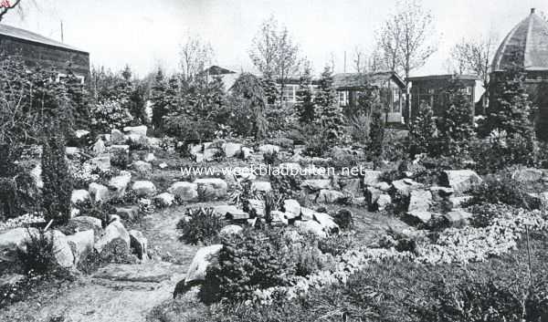 Noord-Holland, 1925, Heemstede, De Voorjaarsbloemententoonstelling te Heemstede. Een der rotstuintjes