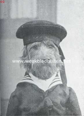 Onbekend, 1925, Onbekend, Tom de airedale-terrier in zijne vermommingen. Als matroos