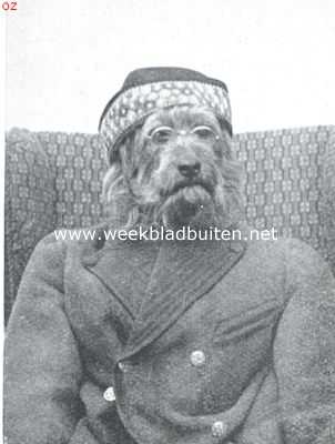 Onbekend, 1925, Onbekend, Tom de airedale-terrier in zijne vermommingen. Grootvader