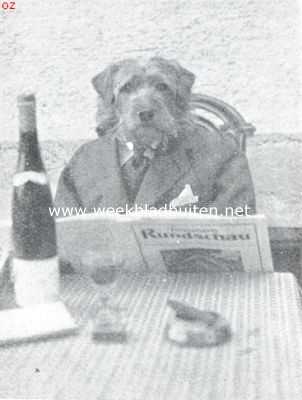 Onbekend, 1925, Onbekend, Tom de airedale-terrier in zijne vermommingen. Meneer de baron