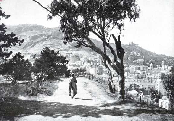 Algerije, 1925, Algiers, Naar Algiers. De weg naar Mustapha