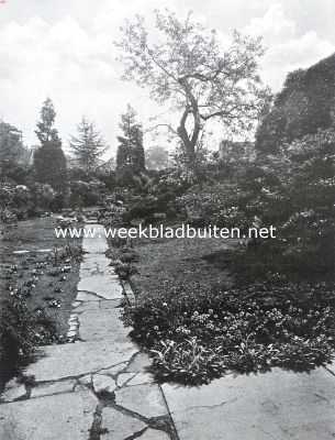 Nederland, 1925, Onbekend, Een bijzondere stadstuin. Aanleg van mevrouw J. de Josselin de Jong