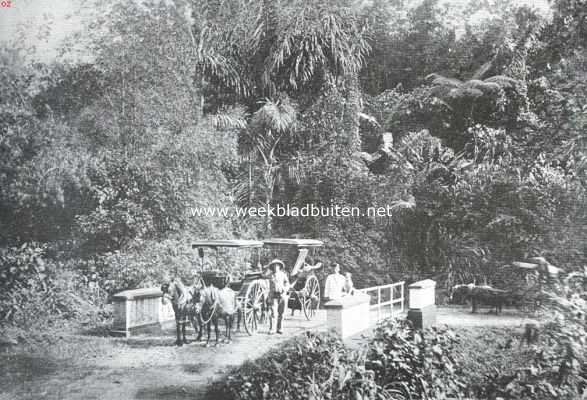 Indonesi, 1925, Onbekend, Een herinnering uit de zuidelijke Bataklanden. De dokter op reis naar de kustplaats