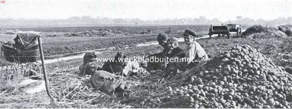 Groningen, 1925, Onbekend, De aardappelcampagne in de Veenkolonin. Het schaftuurtje der rooiers