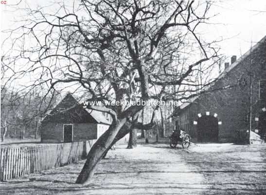 Overijssel, 1925, Hengelo, Het landgoed Espelo. Grillig gevormde boomen bij het huis