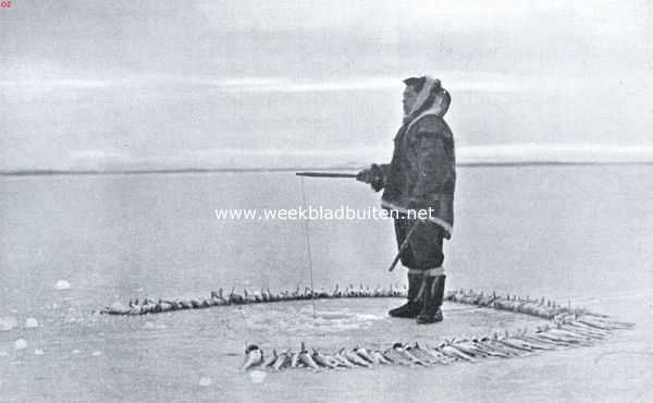 Onbekend, 1925, Onbekend, Het vuistrecht bij de Eskimo's. Visscher van 't schiereiland Kent. De gevangen visschen in een grooten cirkel om zich heen leggend om de ziel der visschen aan zich te binden, daar deze anders herleeft en ontsnapt