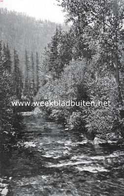 Amerika, 1925, Onbekend, De Amerikaansche National Forests. De Rattlesnake River in Montana