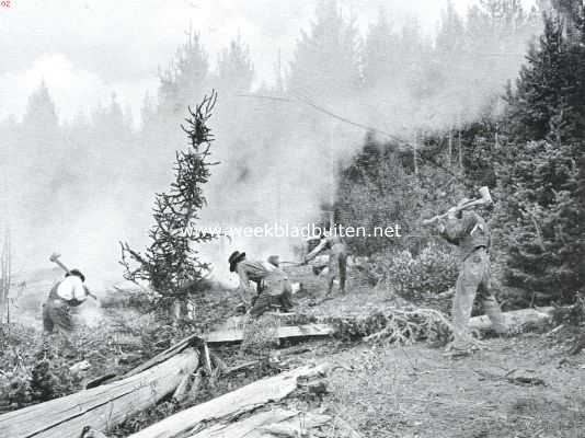 Amerika, 1925, Onbekend, Een boschbrand in het Wasatch National Forest, Utah