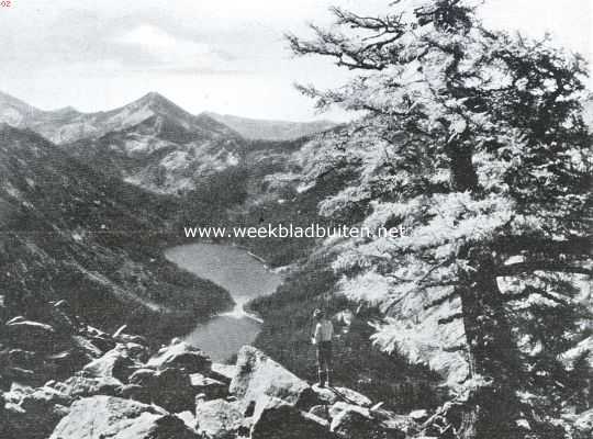 Amerika, 1925, Onbekend, De Amerikaansche National Forests. Meertjes in het National Forest, Montana