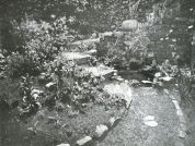 Miniatuurfoto