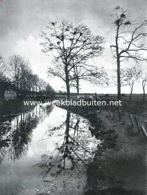 Noord-Holland, 1926, Onbekend, Bij de reigerkolonie achter Rustenhove aan den Volgerweg in de Beemster