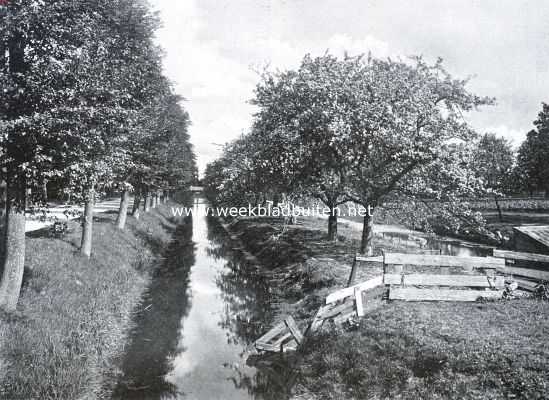 Noord-Holland, 1926, Onbekend, Onze mooiste polder. Bloesemweelde aan de Volgerweg (bij Zwaansvliet) in de Beemster