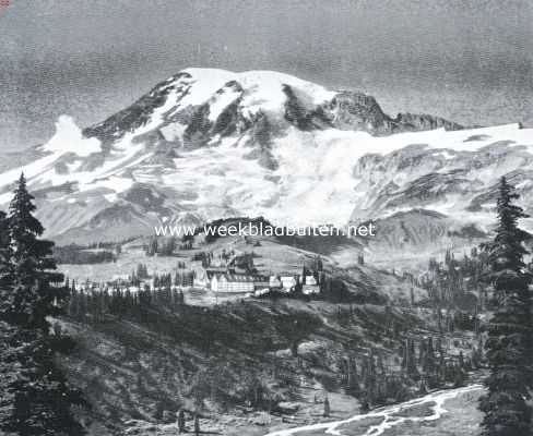 Paradise Valley in het Rainier National Park