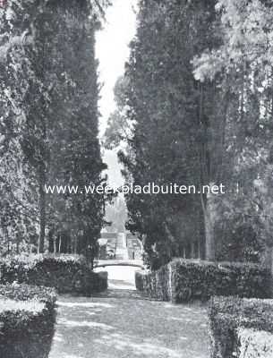 Cypressenlaan in het park van de villa Nieuwenkamp