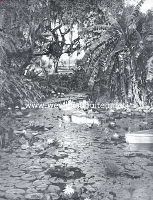 Amerika, 1926, Tampa, Aan den mond van de Hillborough-rivier in het onlangs zoo geteisterd Tampa (Florida)