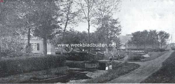 Noord-Holland, 1926, Spaarndam, Boerderijen langs den Spaarndammerdijk