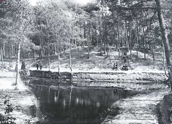 Gelderland, 1926, Nunspeet, In het bosch bij Nunspeet