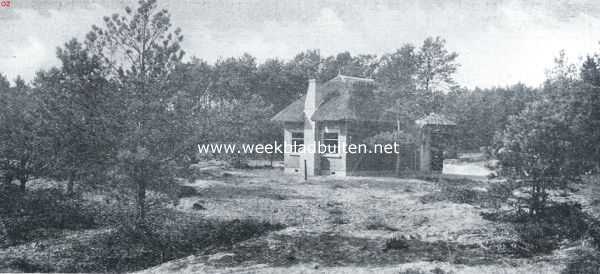 Gelderland, 1926, Onbekend, Houten huisje in de ongerepte natuur