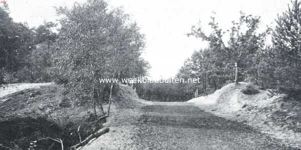 Gelderland, 1926, Onbekend, Veluwsch boschlaantje, ver van het gewoel der groote steden