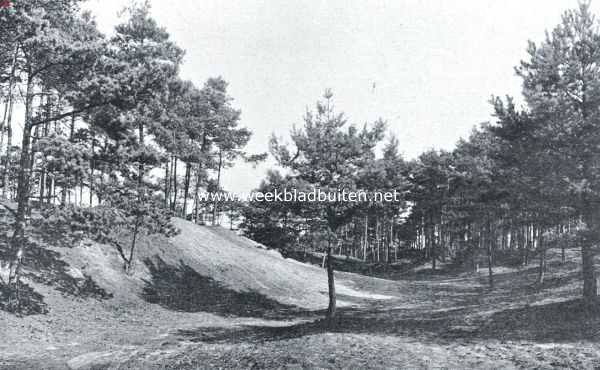 Gelderland, 1926, Onbekend, Ideaal plekje om een huisje te bouwen