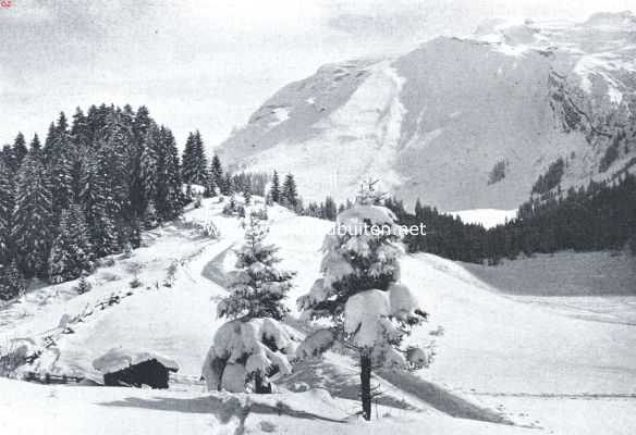 De sleebaan bij Engelberg. Op den achtergrond de Titlis