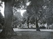 Miniatuurfoto