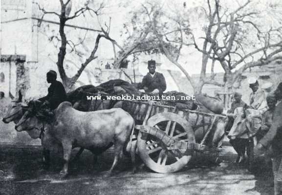 India, 1927, Mumbai, Aspecten van Bombay. Bombay. Indische ossenwagen