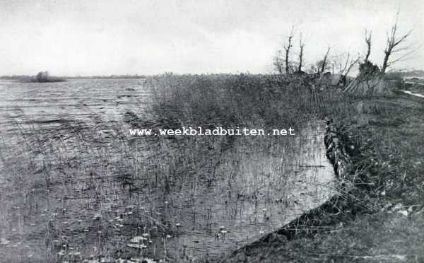 De Reeuwijksche en Sluipwijksche Plassen. Als de gure herfstwind waait