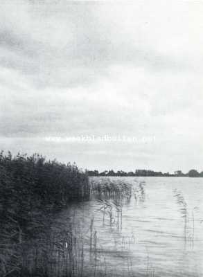 Zuid-Holland, 1927, Onbekend, De Reeuwijksche en Sluipwijksche Plassen. Riet en water