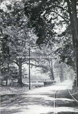 De Friesche Wouden. De mooie straatweg bij Olterterp