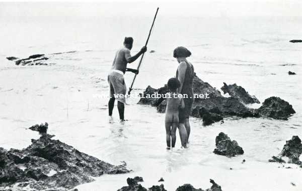 Amerika, 1927, Onbekend, De Sandwich- of Hawai-eilanden. Visscher op jacht naar inktvisschen