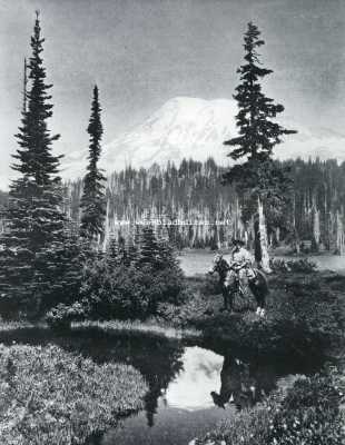 Bij het Reflection Lake in het Rainier National Park (Noord-Amerika)