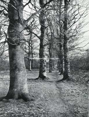 Noord-Holland, 1927, Huizen, De tuin der Amsterdammers. In het bosch van Bikbergen