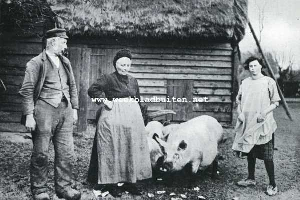 Uit het land van de Linge. De trots van de familie