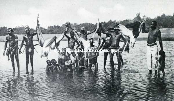 Van verre stranden. Jacht op pelikanen en ibissen op de Fritz Roy Rivier in Noord West Australi