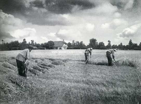 Onbekend, 1927, Onbekend, Oogst