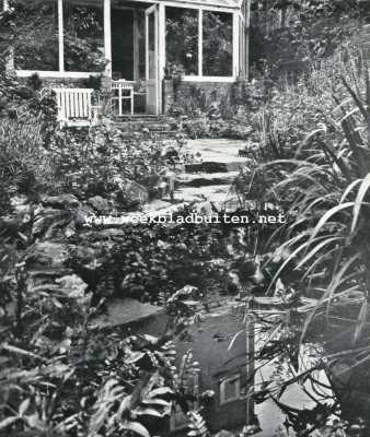 Zuid-Holland, 1927, Den Haag, De tuin in Holland. Een idyllisch natuurtuintje, Van Beuningenstraat 20, 's-Gravenhage