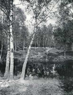 Onbekend, 1927, Onbekend, Aaan het boschvijvertje