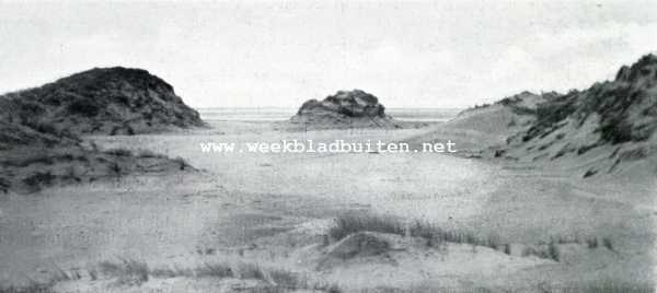 Vogelleven aan den Hoek van Holland. Een doorbraak van de zee nabij de Zuidpunt van Rozenburg, den echten 